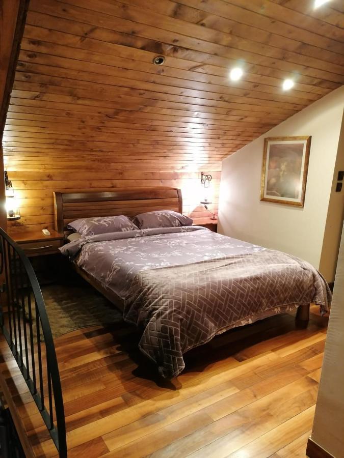 Karina Art Mountain View Apartament *