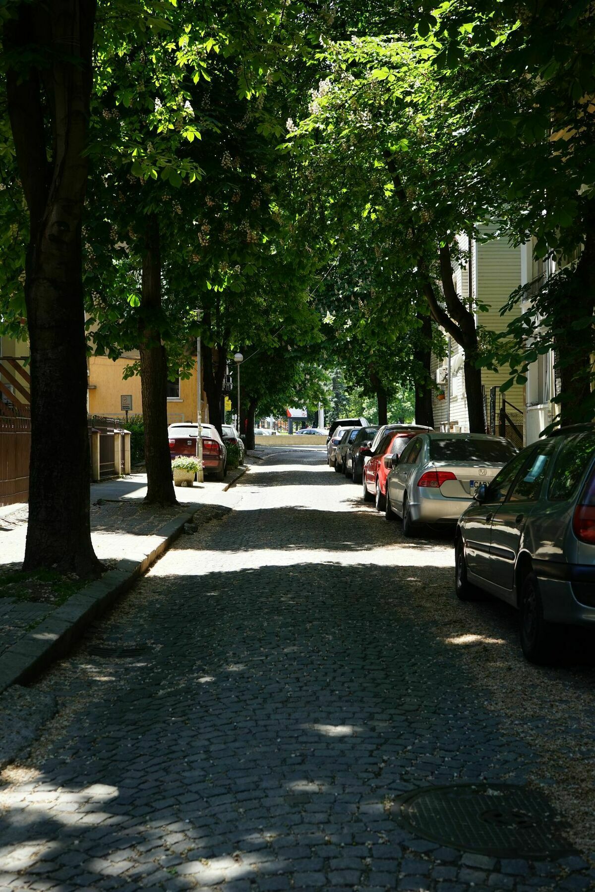 Apartament Karina Art Mountain View Sofia